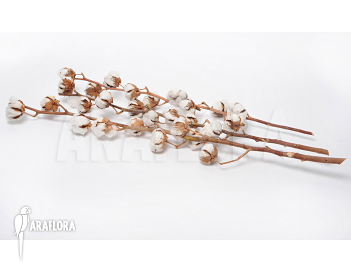 Cotton decoration sticks