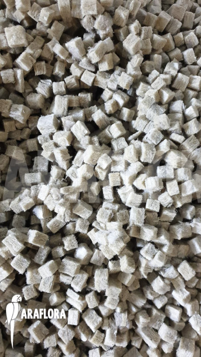 Rockwool cubes Grodan