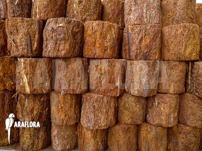 Tree fern pot xaxim ‘S’